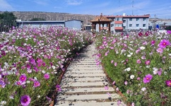 欧美成人精品a8198v无码